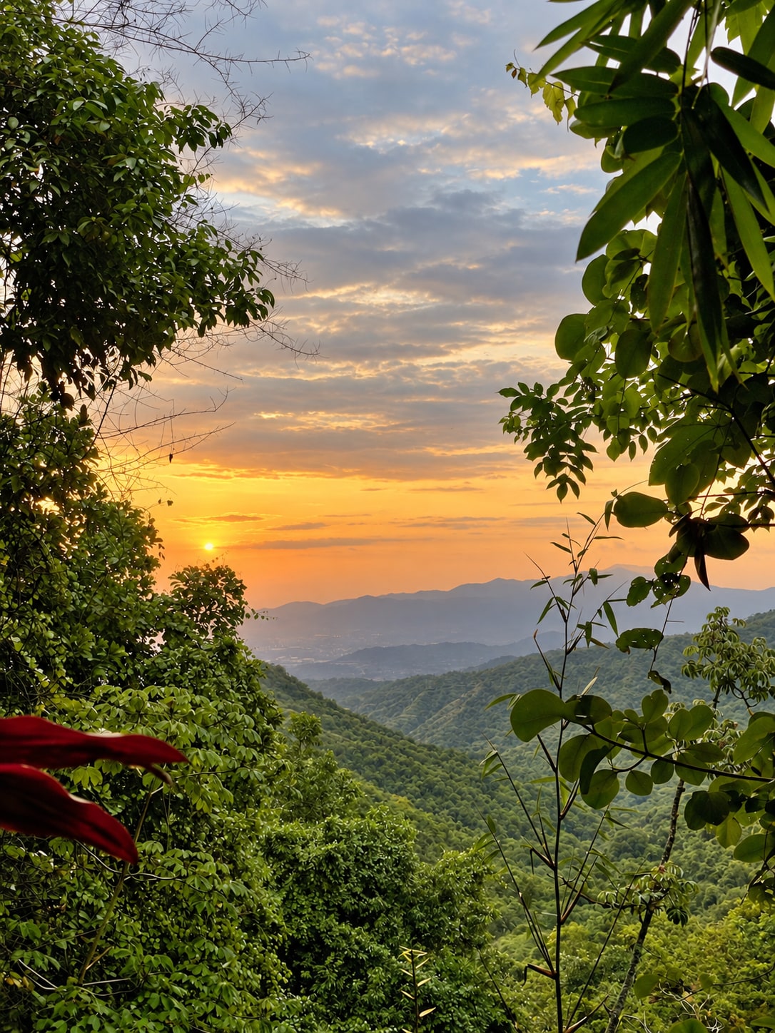 Montañas de Minca al atardecer